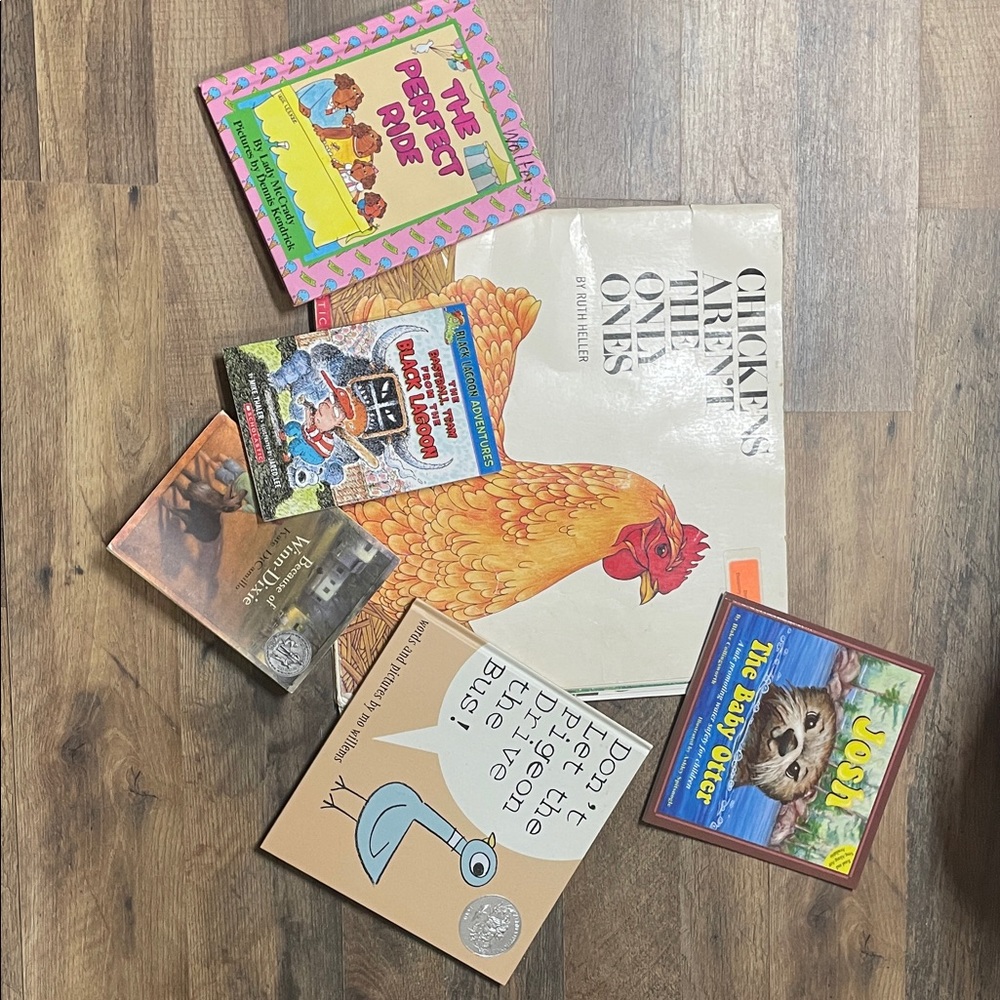 Chicken's Aren't the Ones - White Illustrated Kids Picture Book